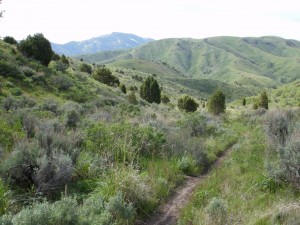 Slate Mountain Trail