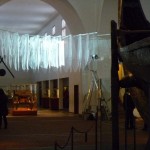 p1010991k
